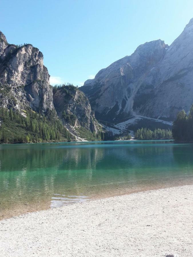 Faltnerhof Planca di Sopra Dış mekan fotoğraf