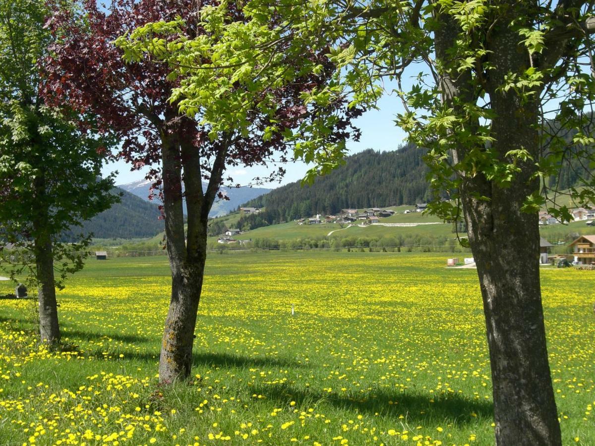 Faltnerhof Planca di Sopra Dış mekan fotoğraf